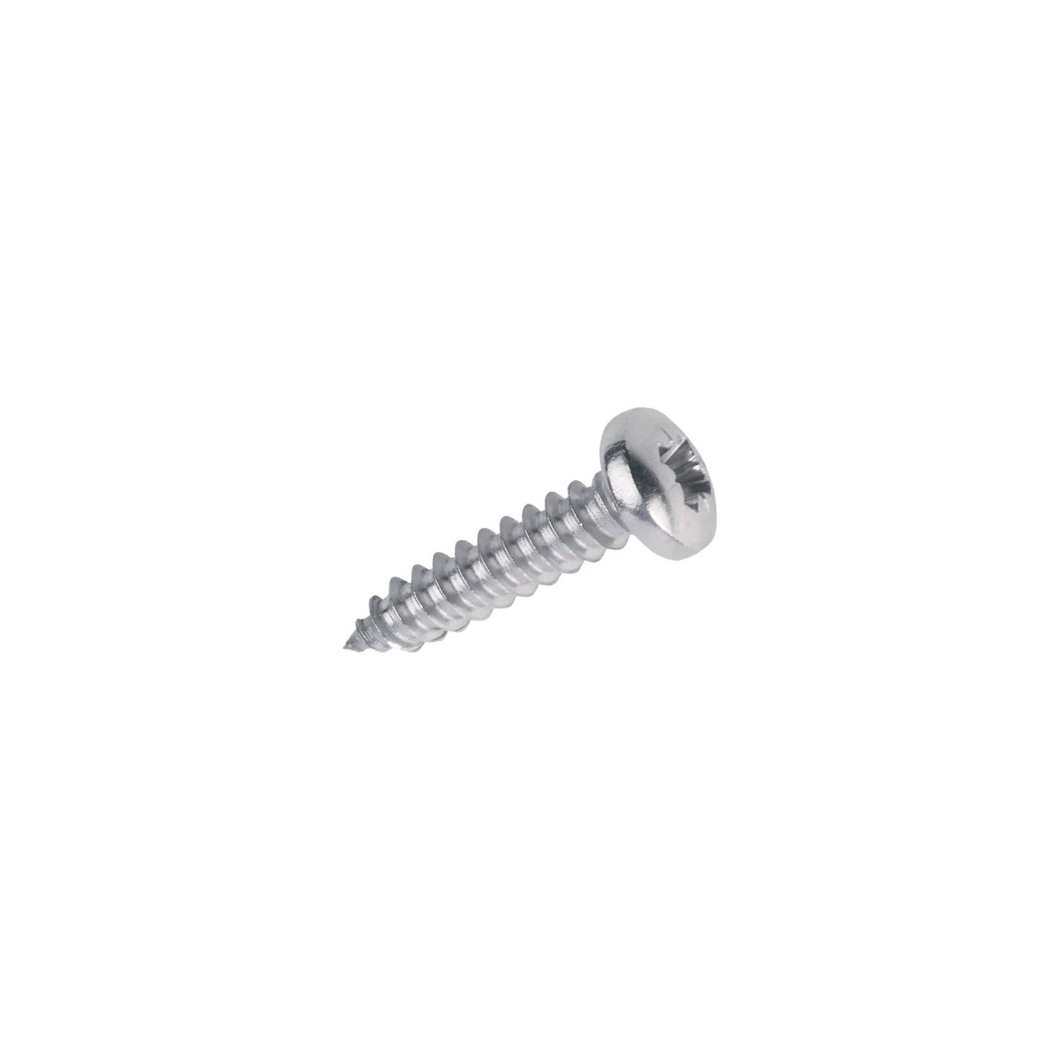 Cladding Wood / Plastic Screws